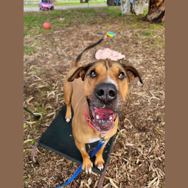 Photo of Jethro