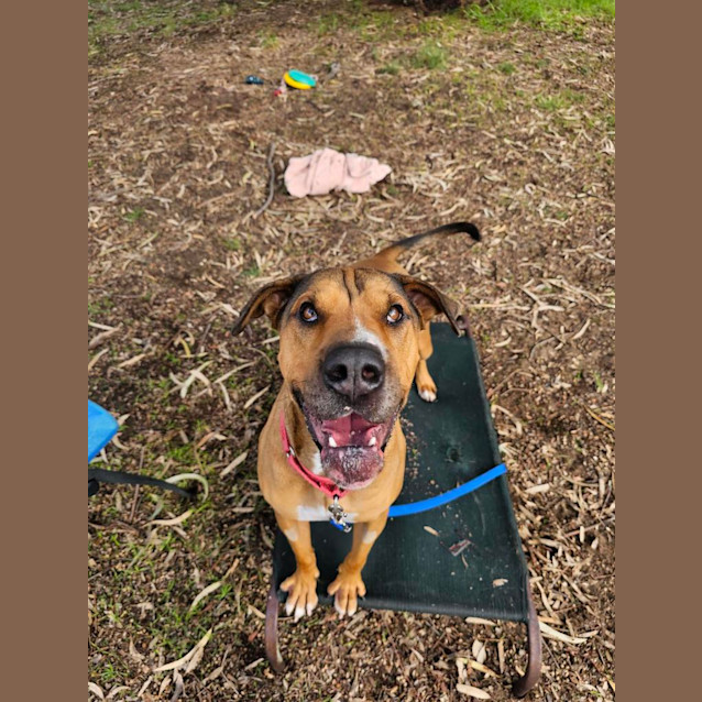 Photo of Jethro