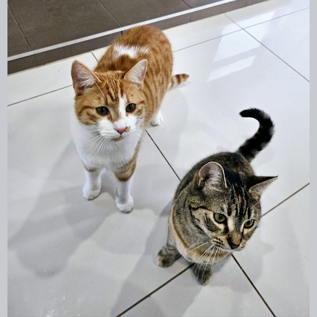 Photo of Arya & Oliver 