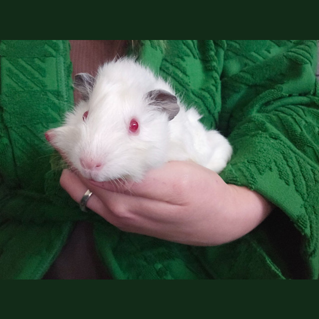 Photo of Chalk / Cheese