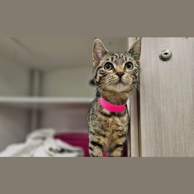 Photo of Evie