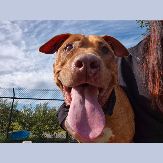 Photo of Martha Imp 611