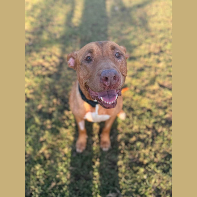 Photo of Martha Imp 611