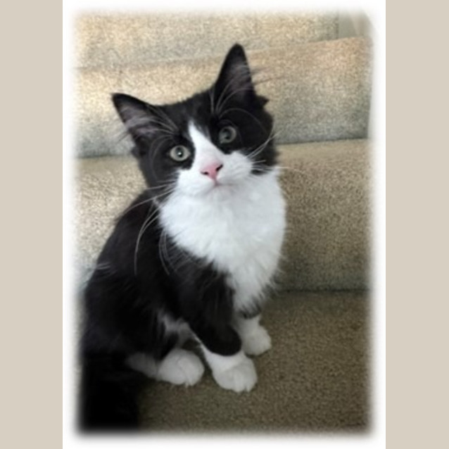 Photo of Batsey