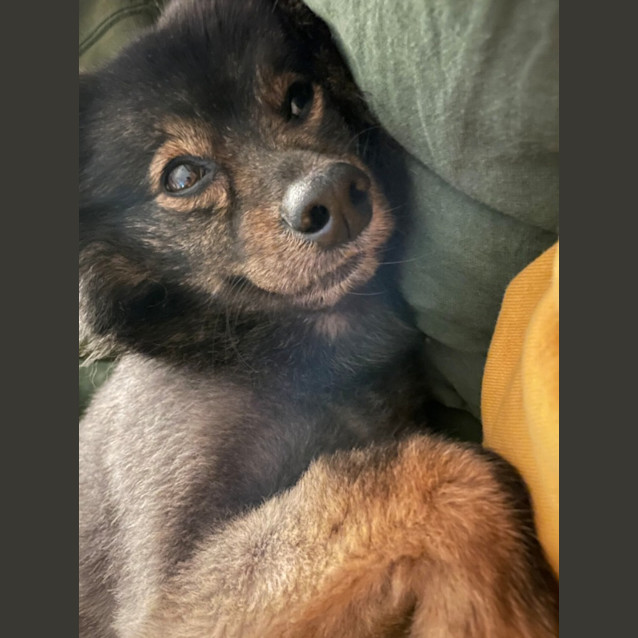 Photo of Meeka