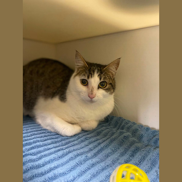 Photo of 🌌 Celia 5241 🌌