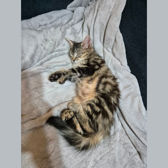 Photo of Mimi