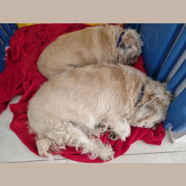 Photo of Raj And Rani 