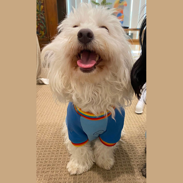 Photo of Raj And Rani 