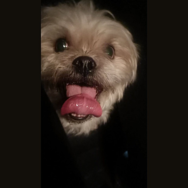 Photo of Raj And Rani 