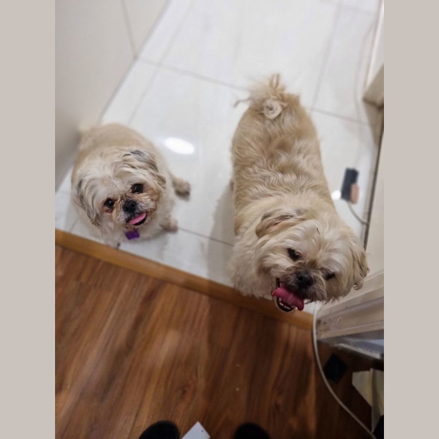 Photo of Raj And Rani 