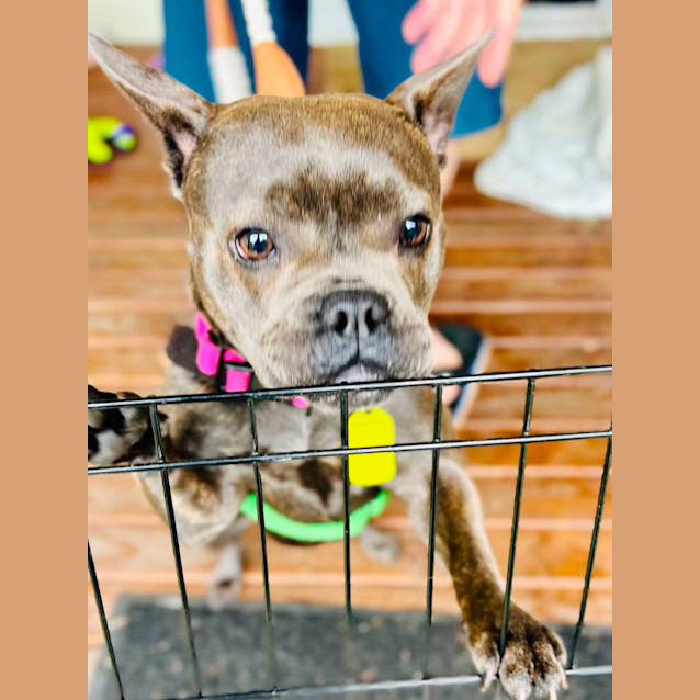 Photo of Billie Girl