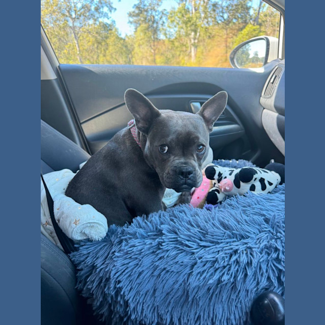 Photo of Billie Girl