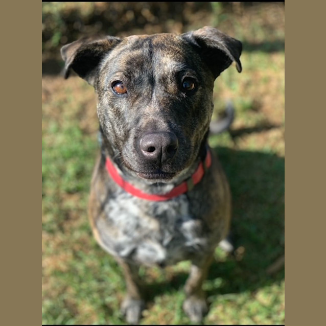 Photo of Shiloh 💜