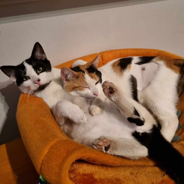 Photo of Inez And James