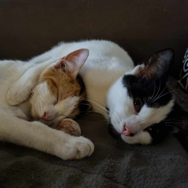 Photo of Inez And James