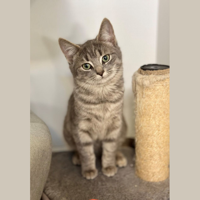 Photo of Remy