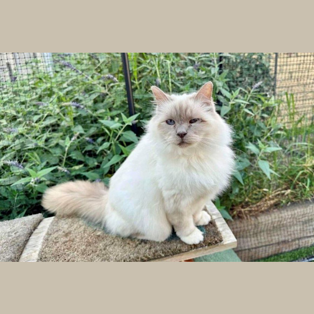 Photo of Tilly Elphinstone