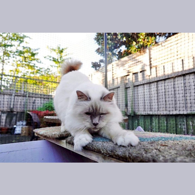 Photo of Tilly Elphinstone