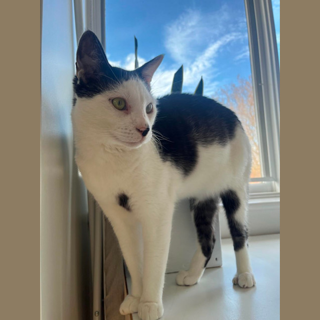 Photo of ⭐️ Ruben ⭐️