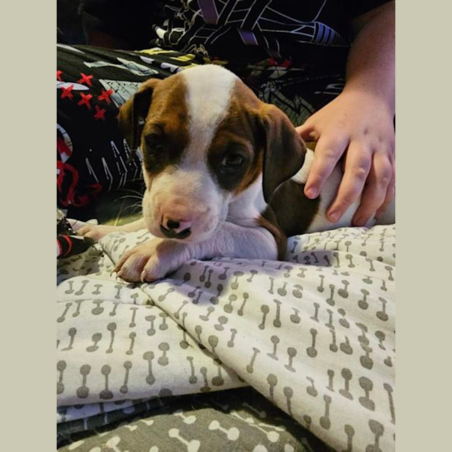 Photo of Millie