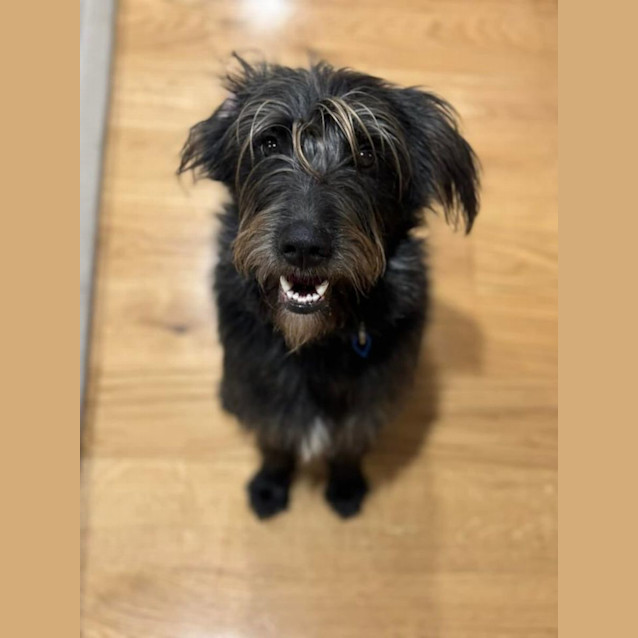 Photo of Arlo 
