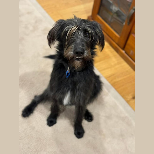 Photo of Arlo 