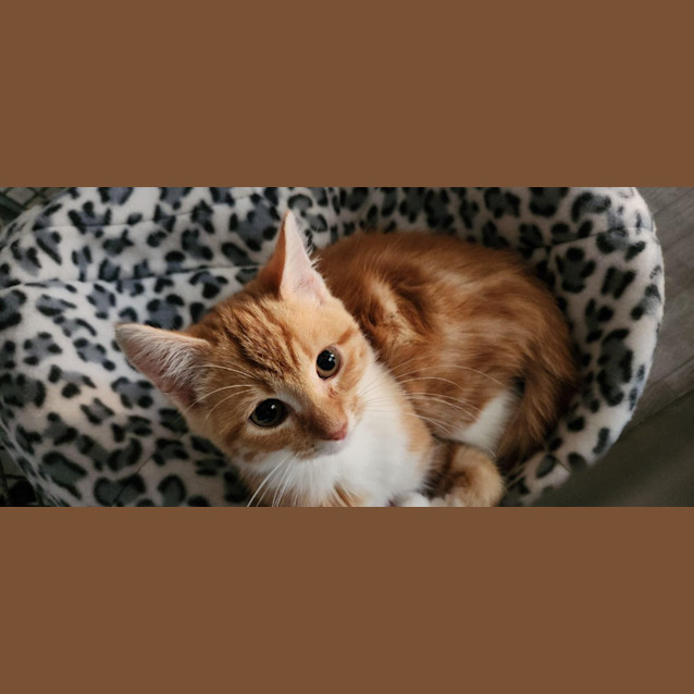 Photo of Nyla