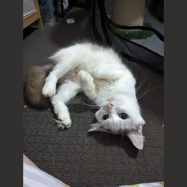 Photo of Enid