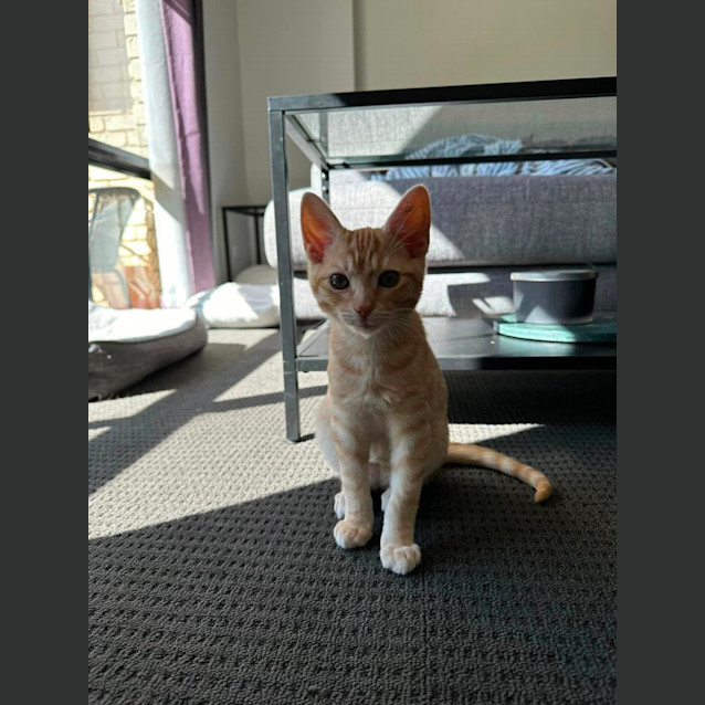 Photo of Luey