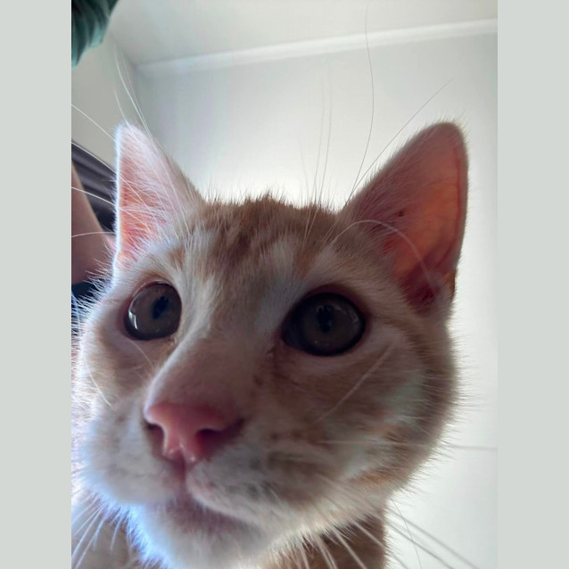 Photo of Duey