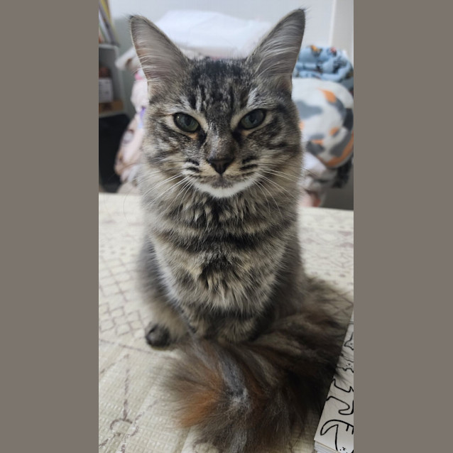 Photo of Kee Kee 