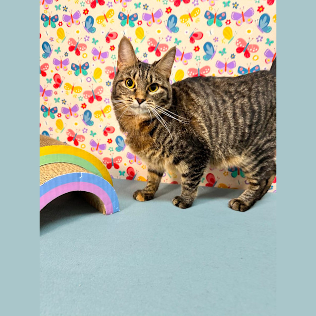 Photo of Holly   Located In Preston