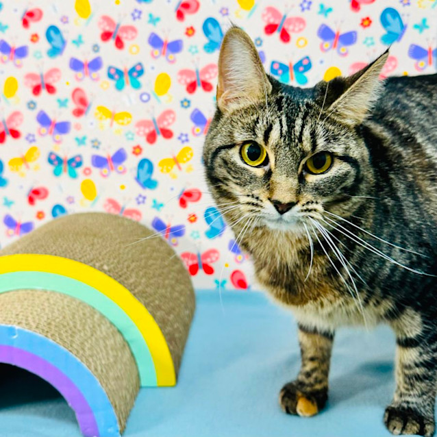 Photo of Holly   Located In Preston