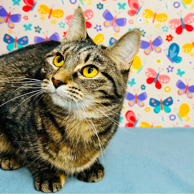 Photo of Holly   Located In Preston