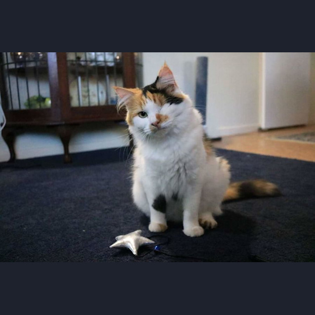 Photo of Twirl