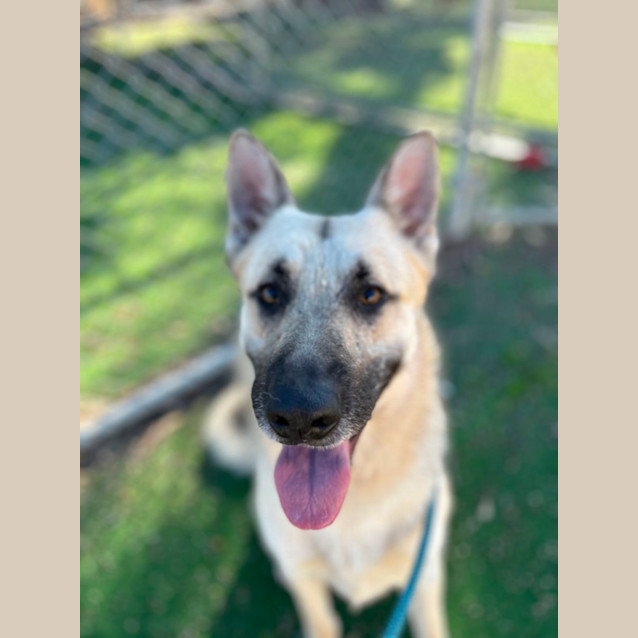 Photo of Duke