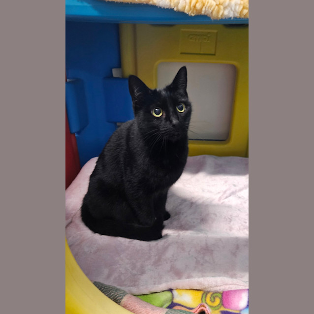 Photo of Sox