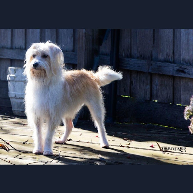 Photo of Jeremy Gainsborough