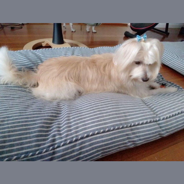 Photo of Jeremy Gainsborough