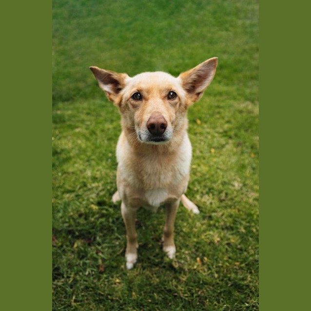 Photo of Darchin Applegate