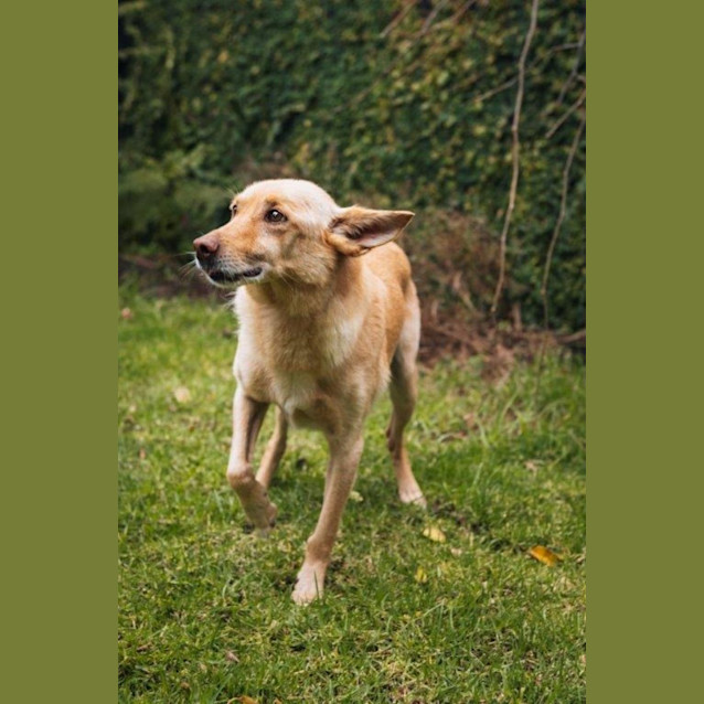 Photo of Darchin Applegate