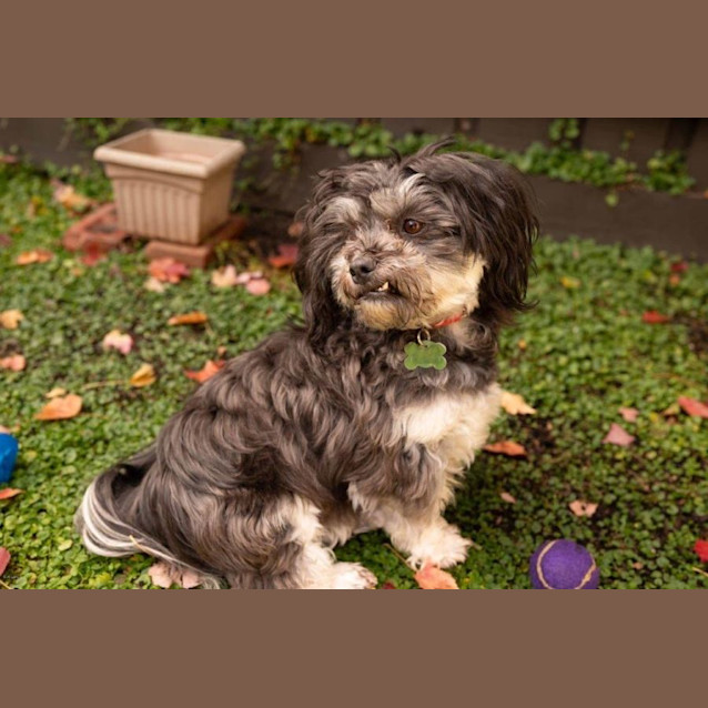 Photo of Dave Gainsborough