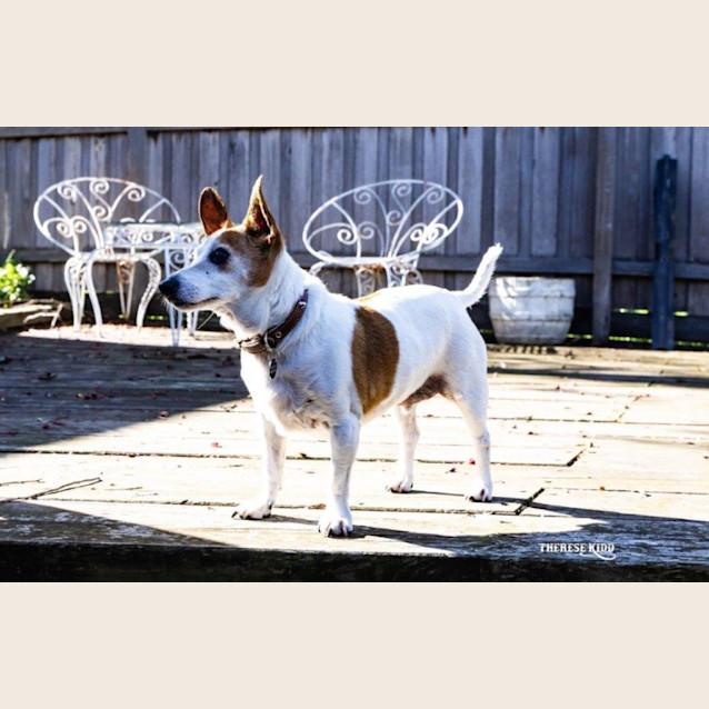 Photo of Terry Falko