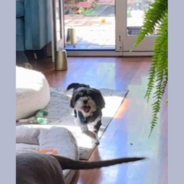 Photo of Patty & Selma