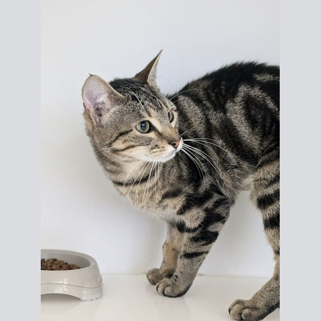 Photo of 🌂 Lola 5247 🌂