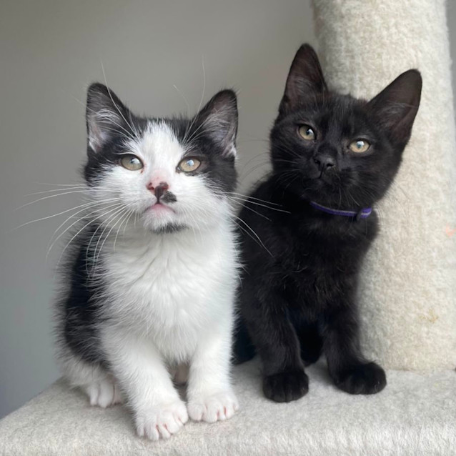 Photo of Christian Dior