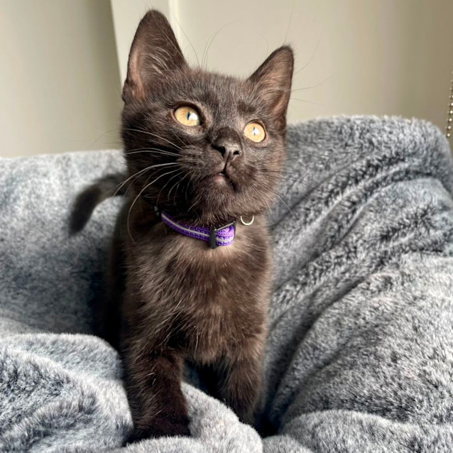 Photo of Christian Dior