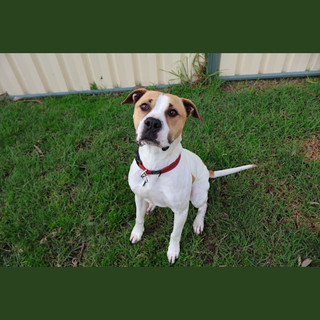Photo of Ace