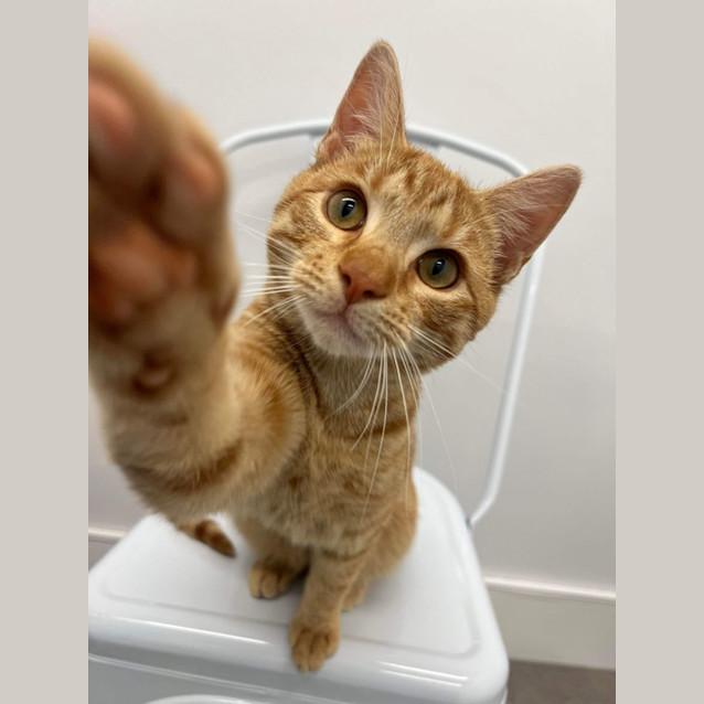 Photo of Custard & Marmalade